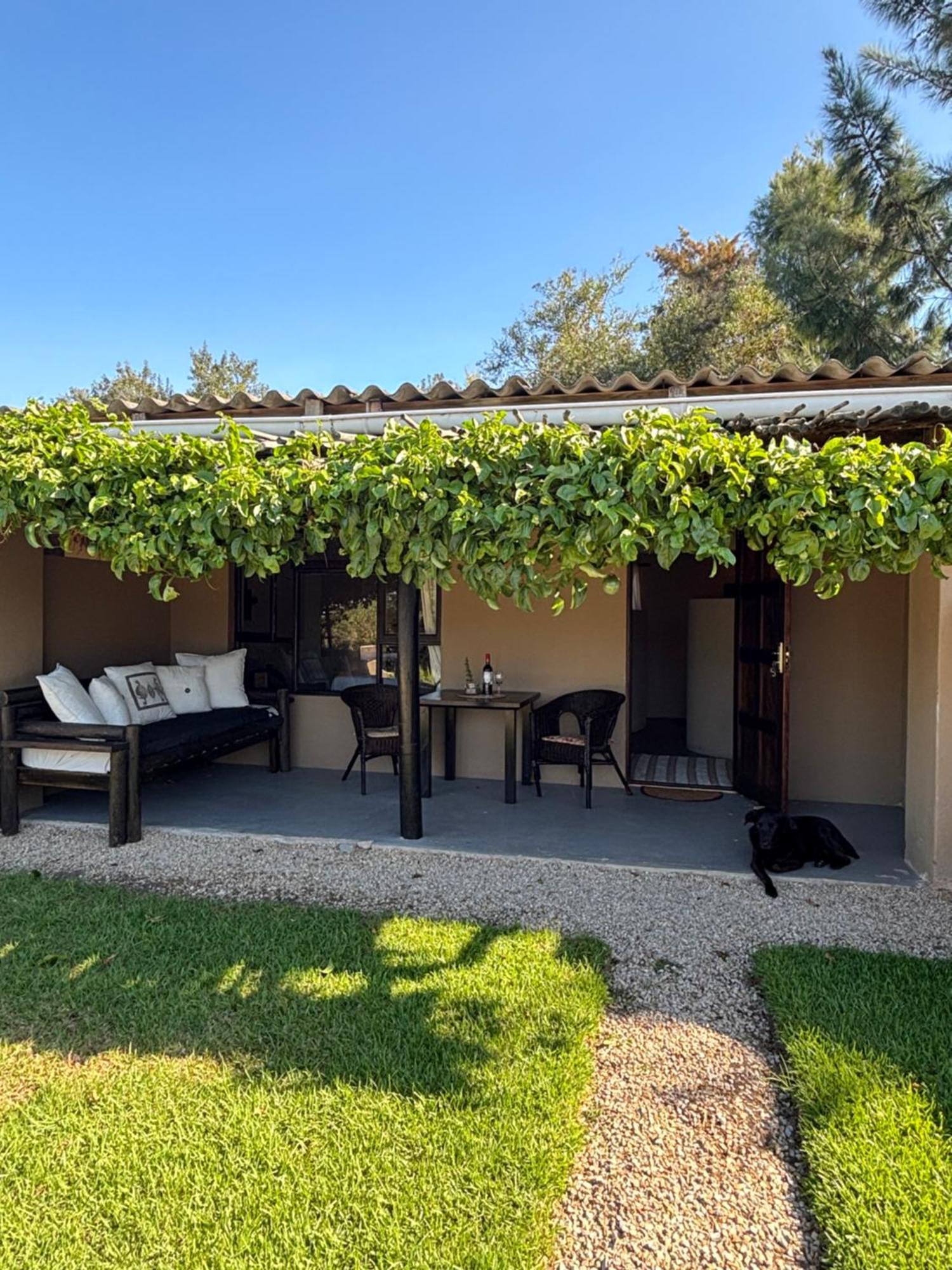Howberry Hills Plettenberg Bay Bagian luar foto